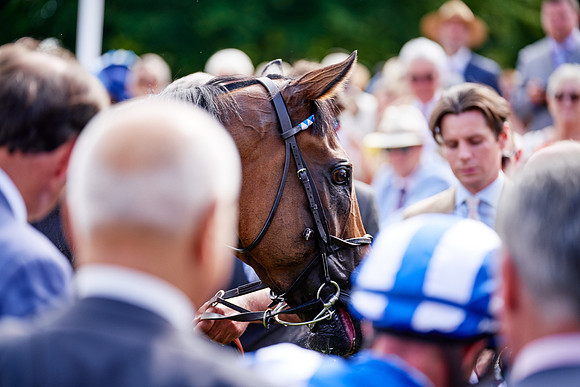 QGF2019_DominicJames-06410