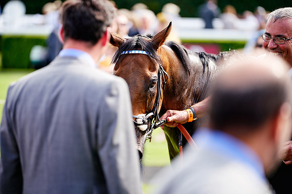 QGF2019_DominicJames-06414