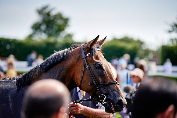 QGF2019_DominicJames-06418