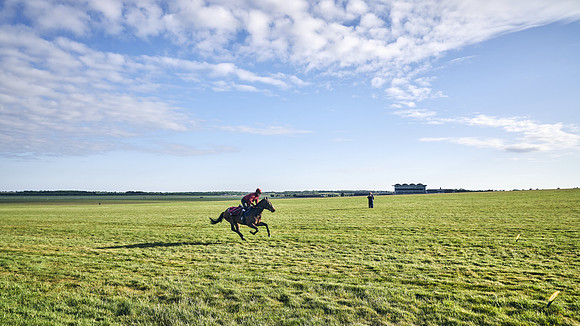 SUMMER GALLOPS-2nd-May-DJ-1594
