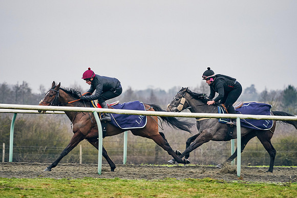 2021-01-22-Dominic-James-1441