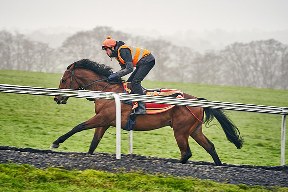 2021-01-26-Dominic-James-1819