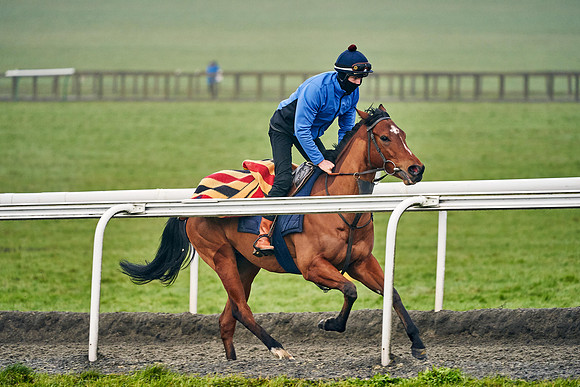 2021-01-26-Dominic-James-2383