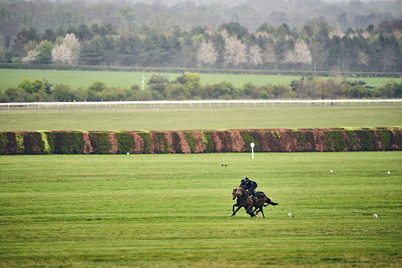HORSES-IN-TRAINING-18TH-APR-DJ-0638