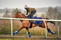 17th Feb Alba 006