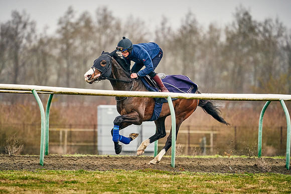 2021-02-17-Dominic-James-3032
