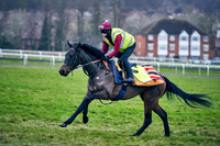 19th Feb WH Grass 001