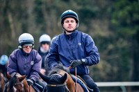 19th Feb WH Grass 002