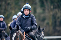 19th Feb WH Grass 002