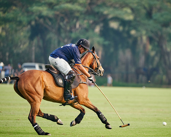 THAI-POLO-PRACTICE-2020-01-21-Dominic-James_DJ91769.ARW8592