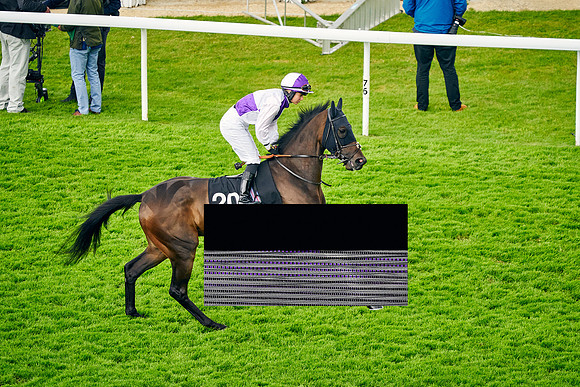 QGF2021-DominicJames-19642
