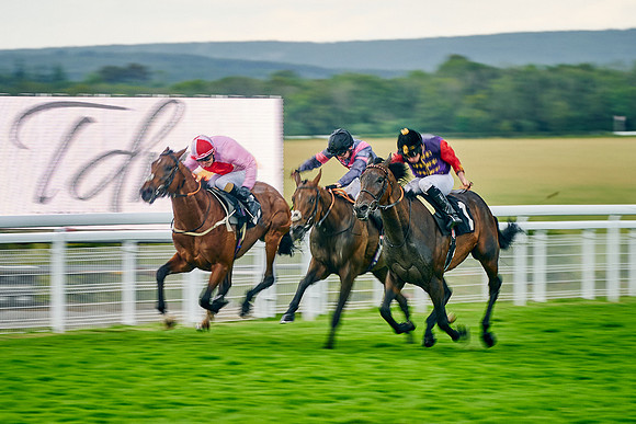 QGF2021-DominicJames-21294