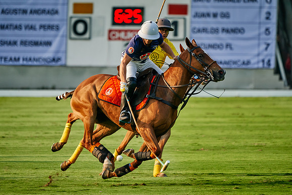 THAI-POLO-OPEN-2019_DJ_0845