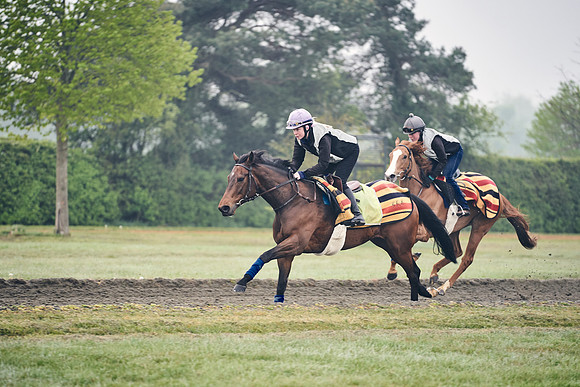 NEWMARKET-GALLOPS-24nd-APRIL-DJ-0175
