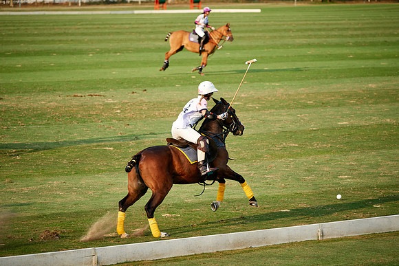 THAI-PINK-POLO-2019_DJ_3234