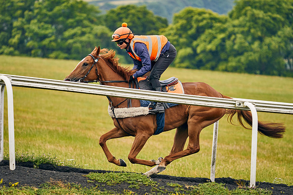 2022-07-01-Dominic-James-2965