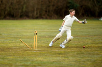 20130411-cricket-AG3A6712