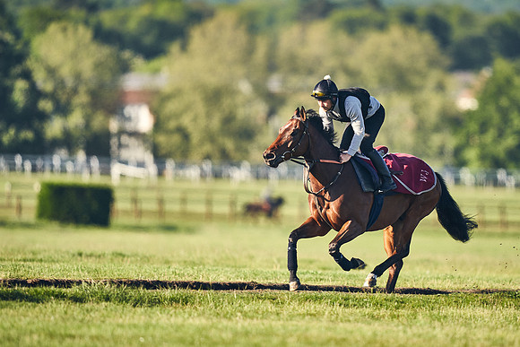 12th-May-DJ-1074