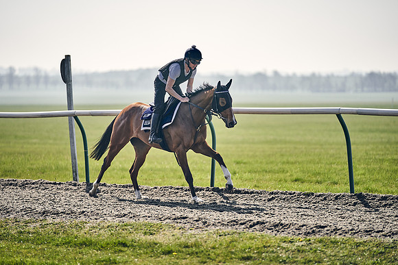 GEORGE-BOUGHEY-RACING-DJ-3359