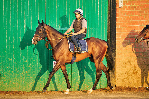 2021-07-23-Dominic-James-0067