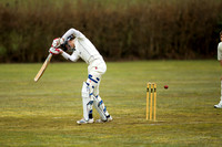 20130411-cricket-AG3A6707