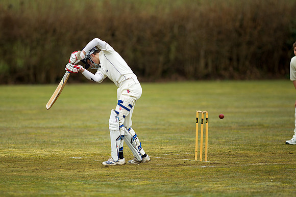 20130411-cricket-AG3A6707