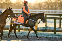 6th Jan 22 Moulton Rd 001