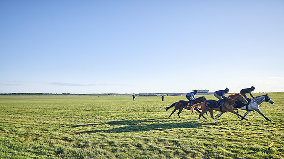 SUMMER GALLOPS-2nd-May-DJ-1031
