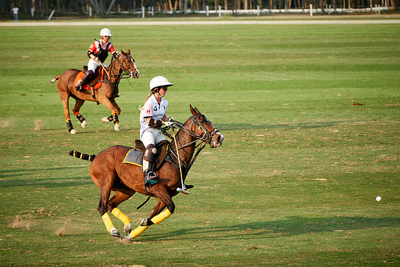 THAI-PINK-POLO-2019_DJ_3232