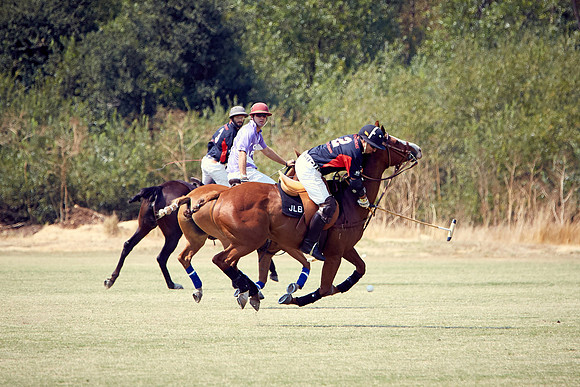 Oyster Cup Polo tournament