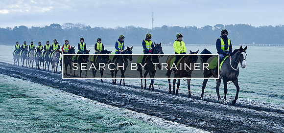Search by Trainer Header
