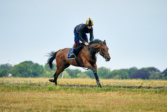 2022-07-23-DominicJames-1275