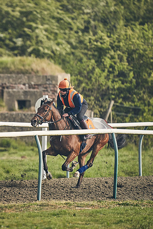 NEWMARKET-GALLOPS-24nd-APRIL-DJ-0597