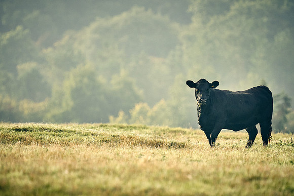 2022-09-20-Dominic-James-0974