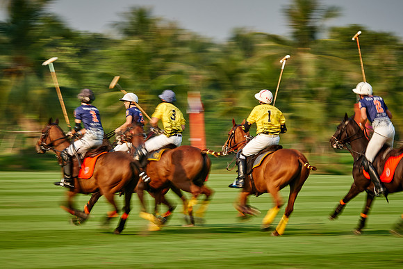 THAI-POLO-OPEN-2019_DJ_0541