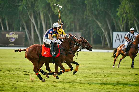 THAI-POLO-OPEN-2019_DJ_1366