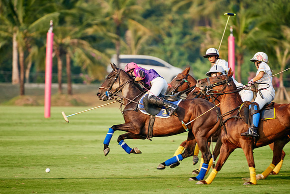 THAI-PINK-POLO-2020-Dominic-James_DJ95458.ARW-10980
