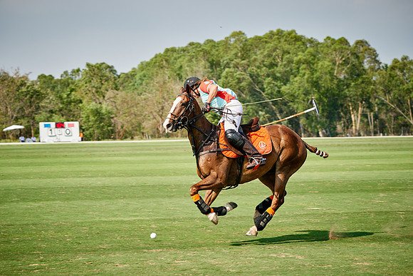 THAI-PINK-POLO-2019_DJ_3979