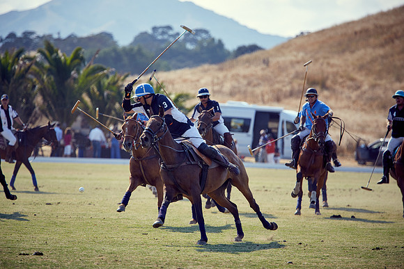Oyster Cup Polo tournament