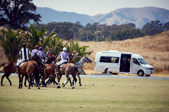 Oyster Cup Polo tournament
