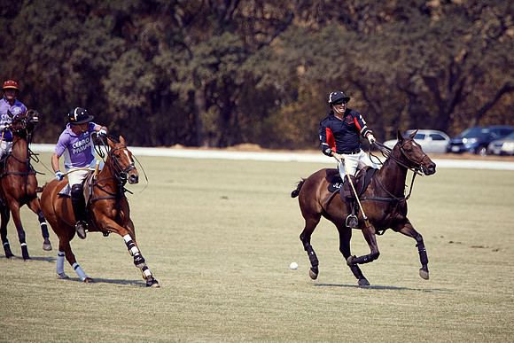 Oyster Cup Polo tournament