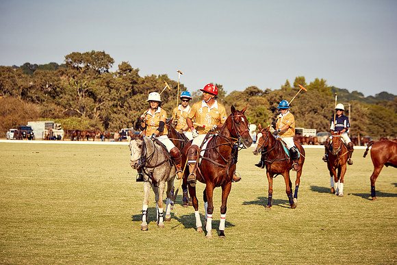 Oyster Cup Polo tournament