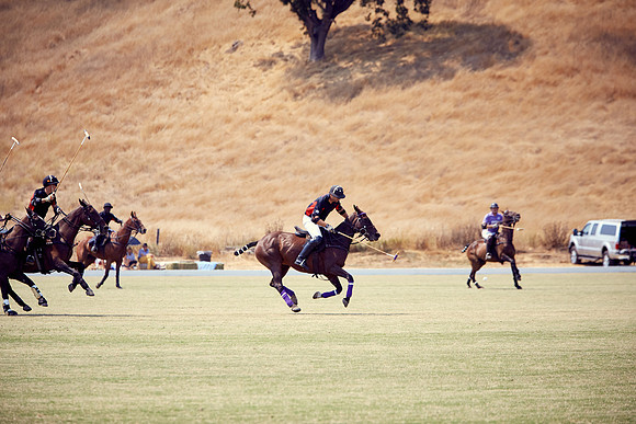 Oyster Cup Polo tournament
