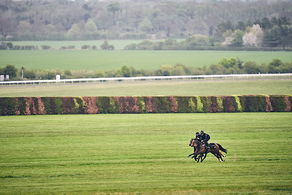 HORSES-IN-TRAINING-18TH-APR-DJ-0643