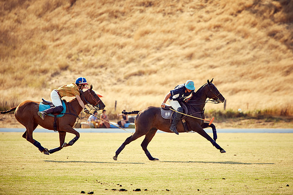 Oyster Cup Polo tournament