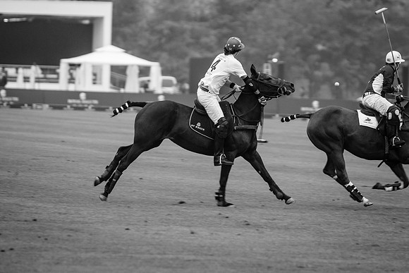 Royal Salute Gold Cup 2012 China Polo Open Tournament