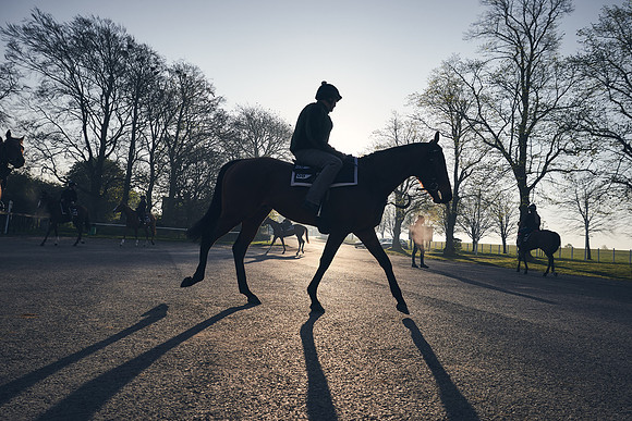 GEORGE-BOUGHEY-RACING-DJ-0656