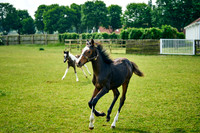 2025-06-09-Dominic-James-00243