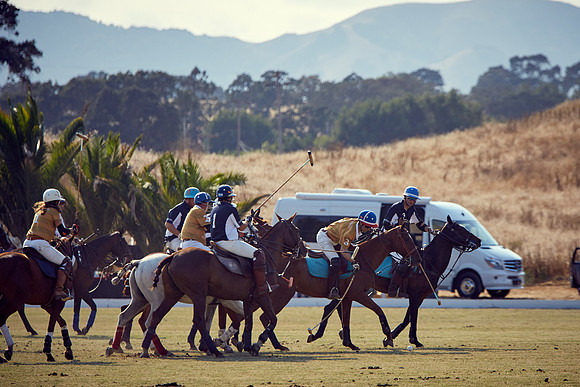 Oyster Cup Polo tournament