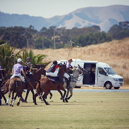 Oyster Cup Polo tournament
